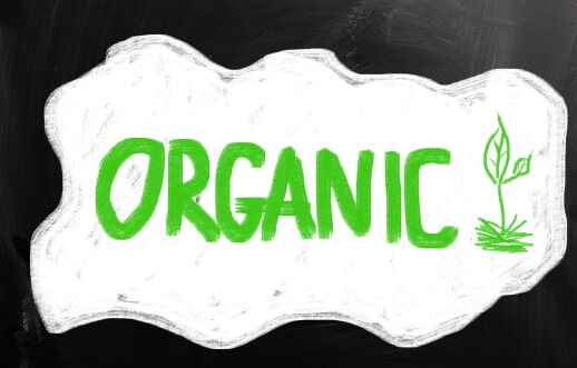 מכתביות למחזור נחשבות ידידותיות לסביבה